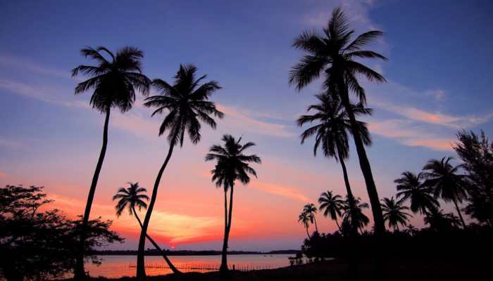 Sri Lanka's top cop wants tourist police in country to learn Hindi, Mandarin