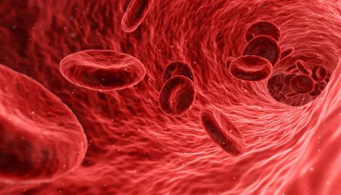 Mysterious enzyme can stop internal bleeding 