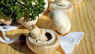 How mushrooms can aid in diabetes treatment