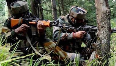 Terrorist gunned down in encounter with security forces in J&K's Anantnag