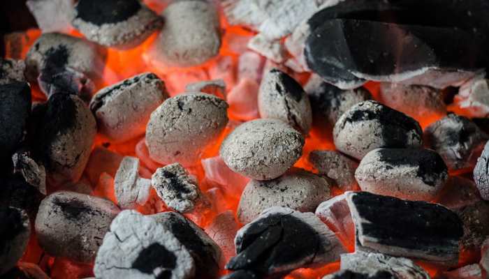 Cooking with coal, wood may up cardiovascular death risk: Study