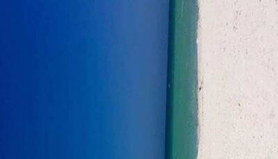 Door or beach? Internet's latest pic mystery finally gets an answer