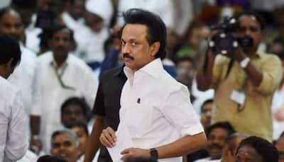 Don't touch Stalin's feet, avoid bringing garlands: DMK to cadre