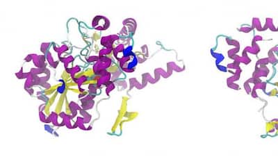 Structure of FAT10 protein analyzed!