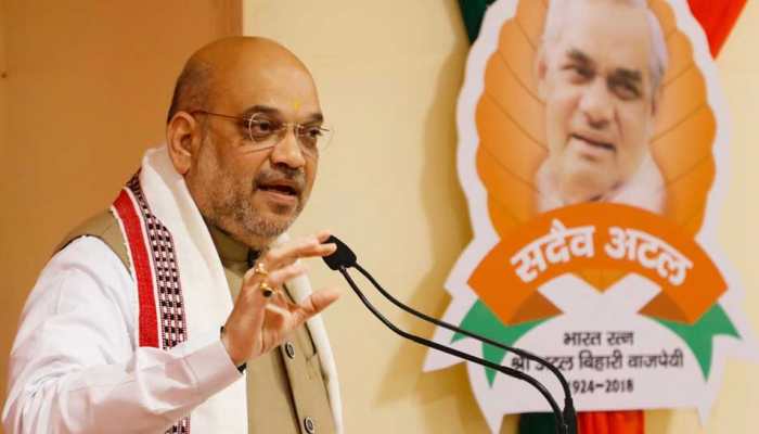 BJP to contest 2019 Lok Sabha elections under Amit Shah, defers organisational polls