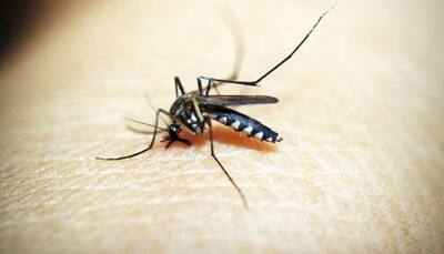 Dengue, A continuing global threat
