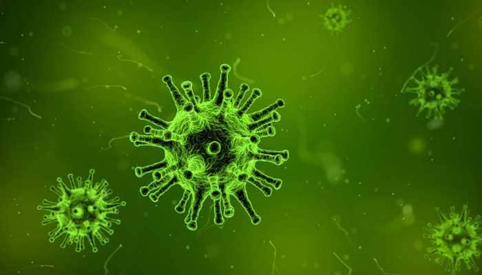 Neutralising antibodies offers hope for HIV vaccine