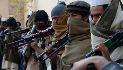 Pakistan militants continue terror attacks in India: US report
