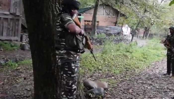 J&amp;K encounter: One terrorist shot dead in Pulwama's Tral, search on 