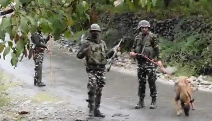 Top Jaish-e-Mohammed terrorist of Pakistani origin killed in Pulwama encounter