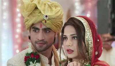 Jennifer Winget and Harshad Chopda to tie the knot in Bepannah?