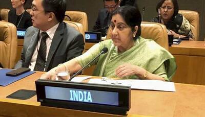 India willing to take lead in combating climate change: Sushma Swaraj at UN