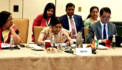 Peace, security essential for progress, terrorism remains threat: Sushma Swaraj at SAARC meet; Pakistan hits back