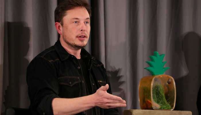 US regulator sues Elon Musk for fraud, seek to remove him from Tesla