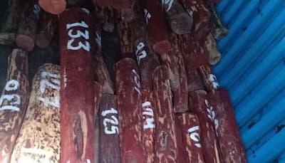 Delhi: Special Task Force sieze 4.5 tonnes of red sandalwood, 4 arrested
