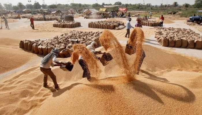 Cabinet hikes minimum support price of wheat by Rs 105 per quintal