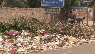 'Piles of garbage everywhere': Delhiites lament as MCD employees continue strike over salary