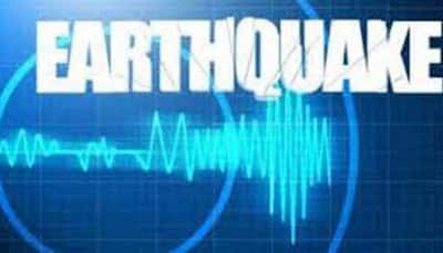 Earthquake of magnitude 4.6 jolts region near Jammu and Kashmir