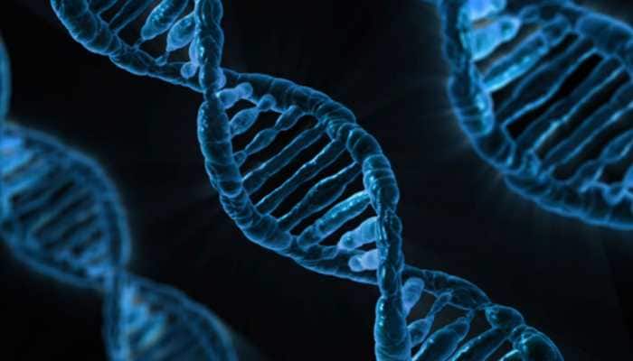 Scientists develop new DNA analysis tool that can help nab criminals