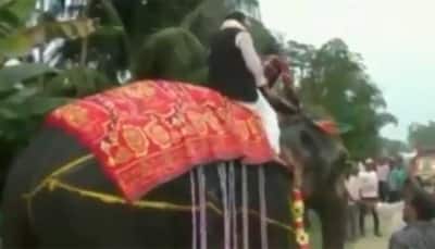 WATCH: BJP MLA falls off elephant in Assam, laughs it off like a sport