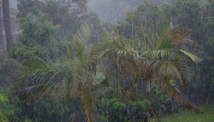 Odisha and Andhra to get heavy rainfall in coming days: Met department