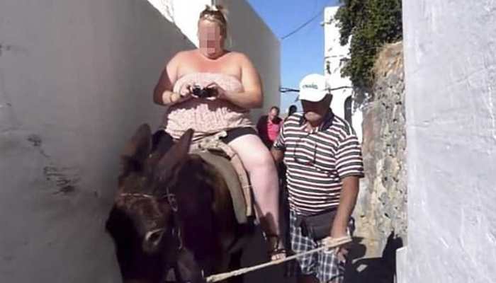 Obese tourists banned from riding donkeys in Greece Obese tourists banned from riding donkeys in Greece