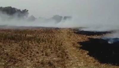 Punjab farmers burn stubble, claim fire-crackers contribute to pollution too