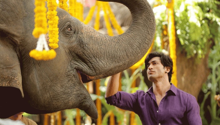 Junglee trailer out: Vidyut Jamwal&#039;s wildness and his bond with tuck friends make it worth a watch 