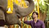 Junglee trailer out: Vidyut Jamwal's wildness and his bond with tuck friends make it worth a watch 