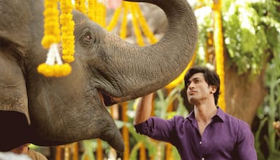 Junglee trailer out: Vidyut Jamwal's wildness and his bond with tuck friends make it worth a watch 