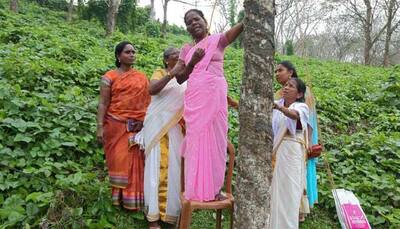 Sabarimala temple gates opened, but not for women despite SC order