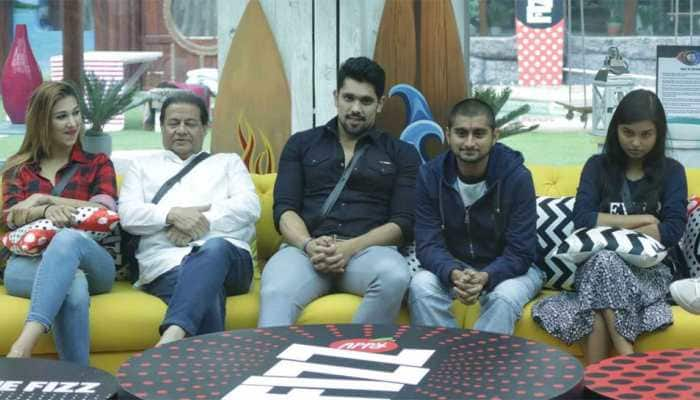 Bigg Boss 12, Day 32 written updates: Deep, dark secrets of contestants revealed in captaincy task!