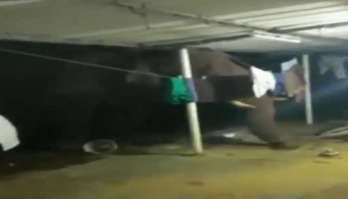 Elephant enters house in Coimbatore, eats rice and fertilisers kept in bags - Watch