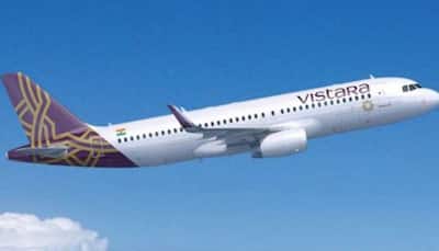 Vistara flight aborts landing twice due to dead bird on Delhi runway
