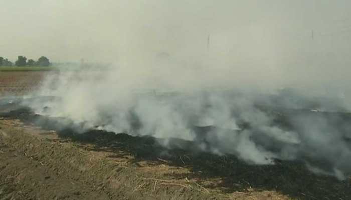 Haryana farmers reduce stubble-burning, claims government 