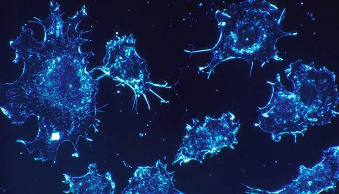 End of Chemotherapy? Scientists discover 'Kill Code' in human cells to end cancer