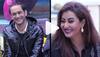 Shilpa Shinde, Vikas Gupta's pic from Bigg Boss 12 is breaking the internet