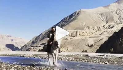 Dinesh Lal Yadav aka Nirahua's 'Sher E Hindustan' video will make your jaw drop - Watch