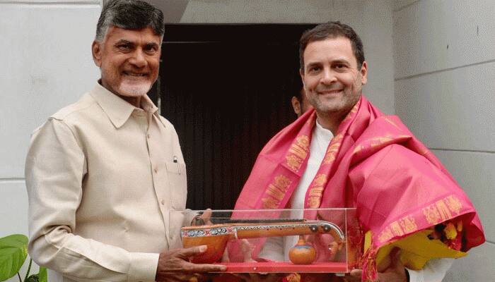 Chandrababu Naidu meets Rahul Gandhi amid seat-sharing talks for Assembly polls