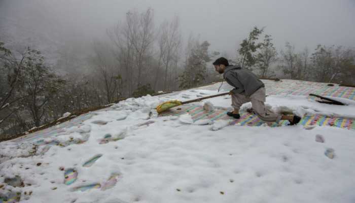 How early snowfall threatens to take toll on apple orchards in J&amp;K