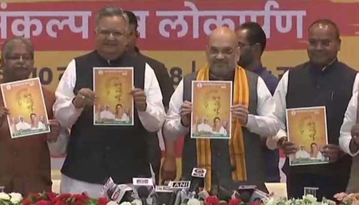 BJP releases manifesto in Chhattisgarh, promises Naxal-free state