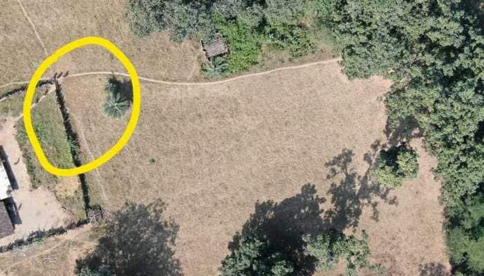 Day ahead of Chhattisgarh polls, Naxals spotted in Dantewada; security tightened Day ahead of Chhattisgarh polls, Naxals spotted in Dantewada; security tightened