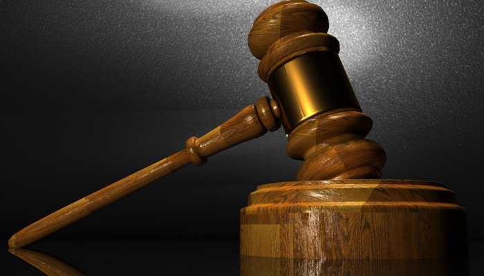 Karnataka HC adjourns hearing on Sruthi Hariharan's plea seeking quashing of FIR