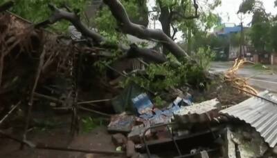 Cyclone Gaja claims 11 lives in Tamil Nadu; CM announces compensation for families of victims
