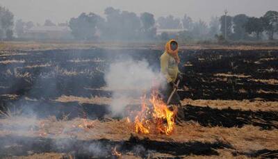 More stubble burning this year compared to last year: EPCA chairperson
