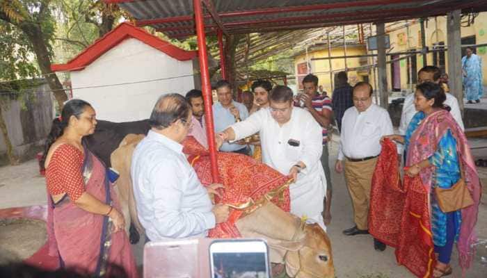 WB: TMC leader worships cow; says don't need Hindu certificate from BJP for 'gau puja' WB: TMC leader worships cow; says don't need Hindu certificate from BJP for 'gau puja'