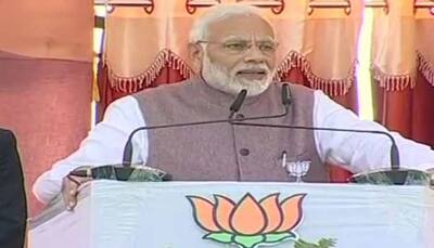 PM Narendra Modi slams Congress, says cheating in its blood, false promises nature of party