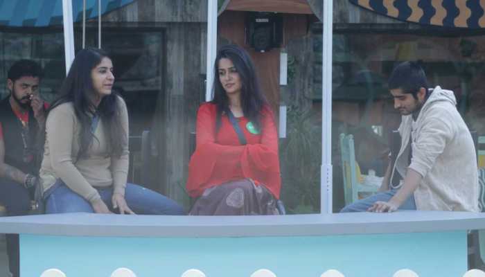 Bigg Boss 12 written updates: Dipika Kakkar nominates herself to save Sreesanth 