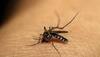 Malaria in India
