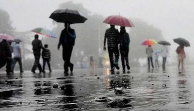 Moderate rainfall likely in parts of Tamil Nadu during next 24 hours: IMD